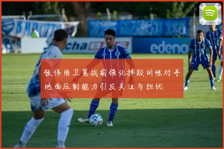 张伟丽卫冕战前强化摔跤训练对手地面压制能力引发关注与担忧