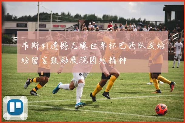 韦斯利遗憾无缘世界杯巴西队友纷纷留言鼓励展现团结精神