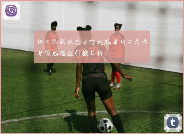热火队新动态小哈达威康利之外希尔德成潜在引援目标